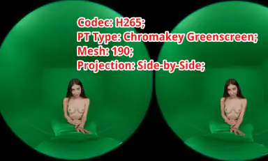 H265 Ptgreenscreen SBS Fisheye 190