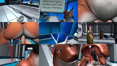 Furryous VR Part 1 the Basics