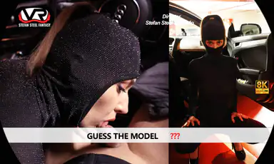 Guess the Model