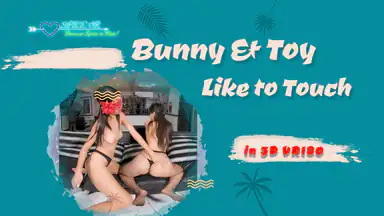 Bunny and Toy Like to Touch